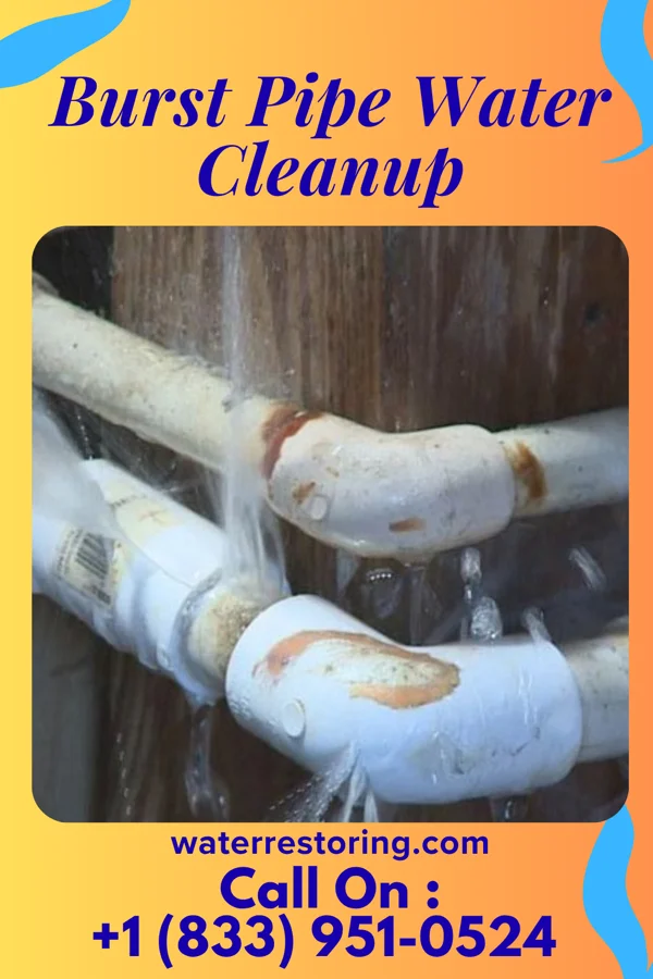 Burst Pipe Water Cleanup in Helena, SC