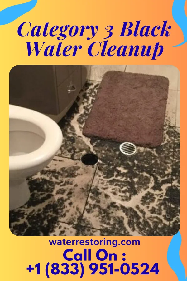 Category 3 Black Water Cleanup in Helena, SC