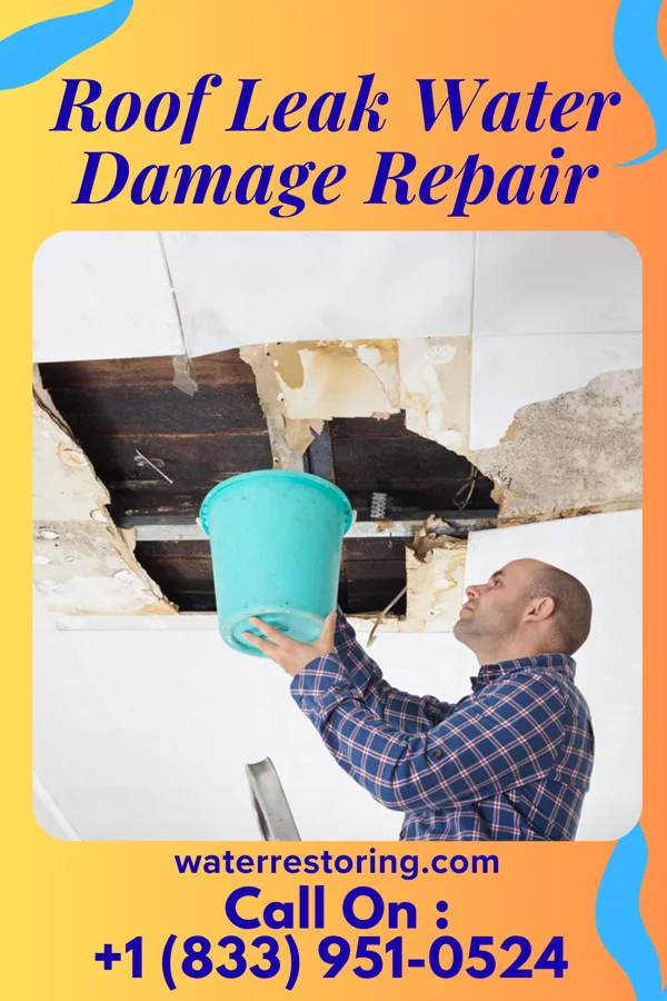 Roof Leak Water Damage Repair in Helena, SC